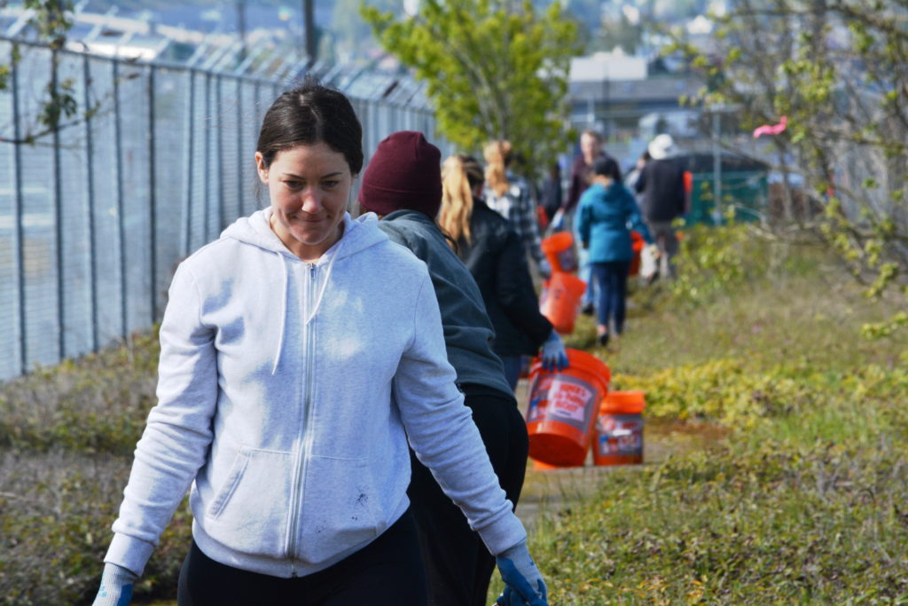 Volunteers passing buckets at the salt marsh